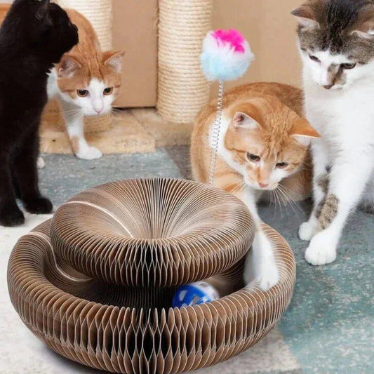 KattenRing™ | Verander het speelplezier van je kat